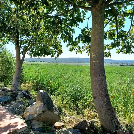Holiday home Casa Bibiana Posadilla