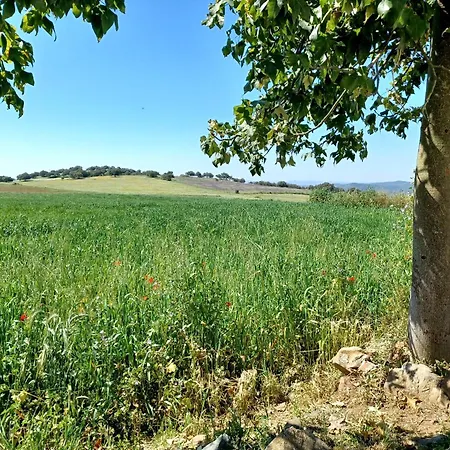 Holiday home Casa Bibiana